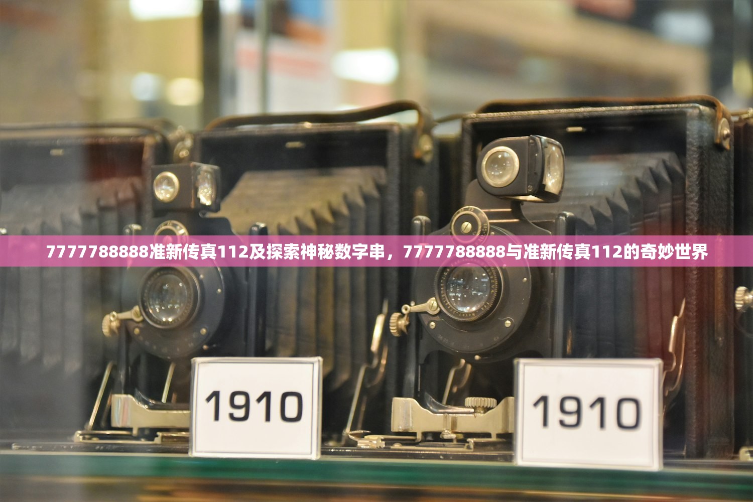 7777788888准新传真112及探索神秘数字串,7777788888与准新传真112的奇妙世界